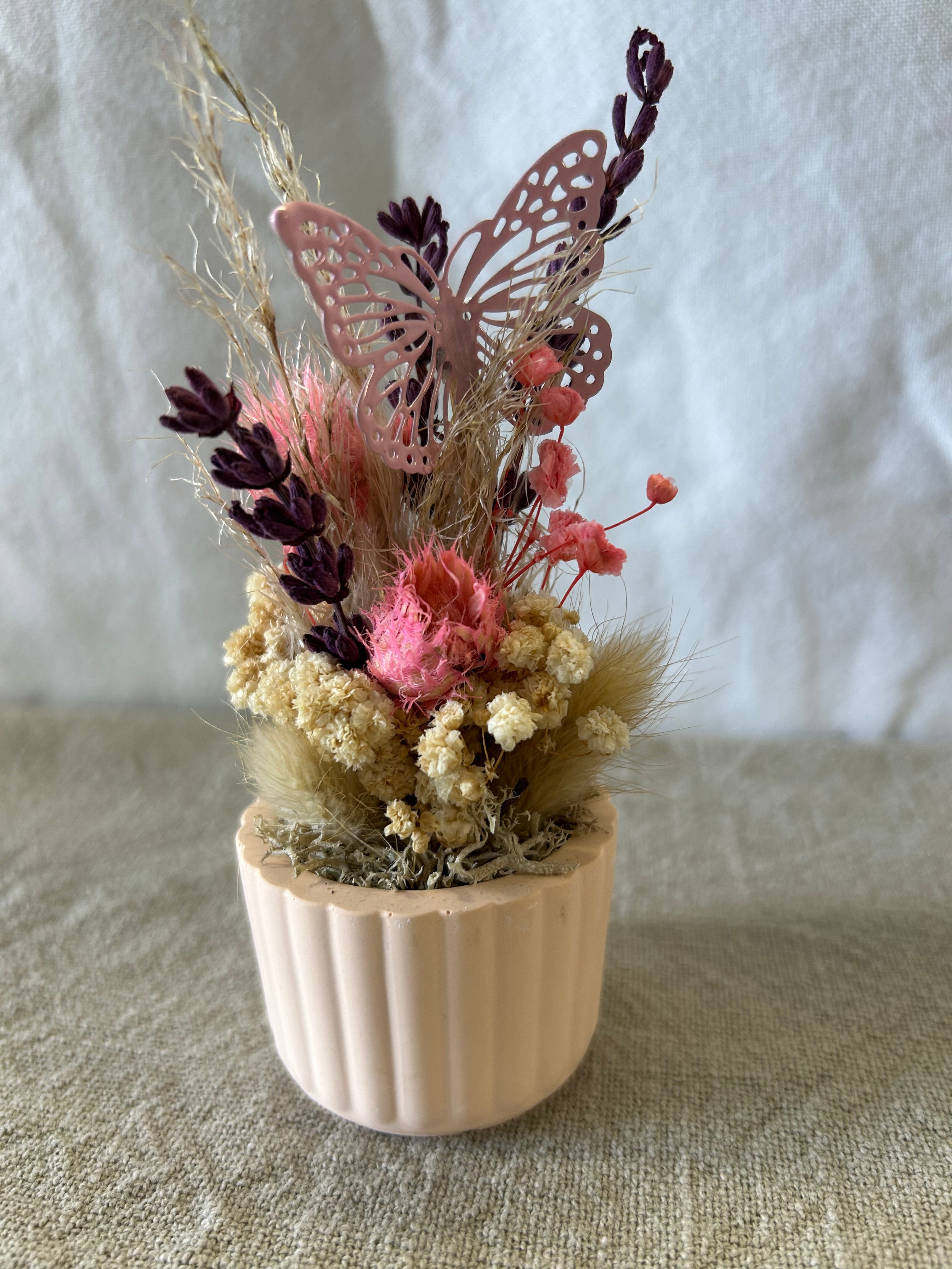 Trockenblumen - rosa
